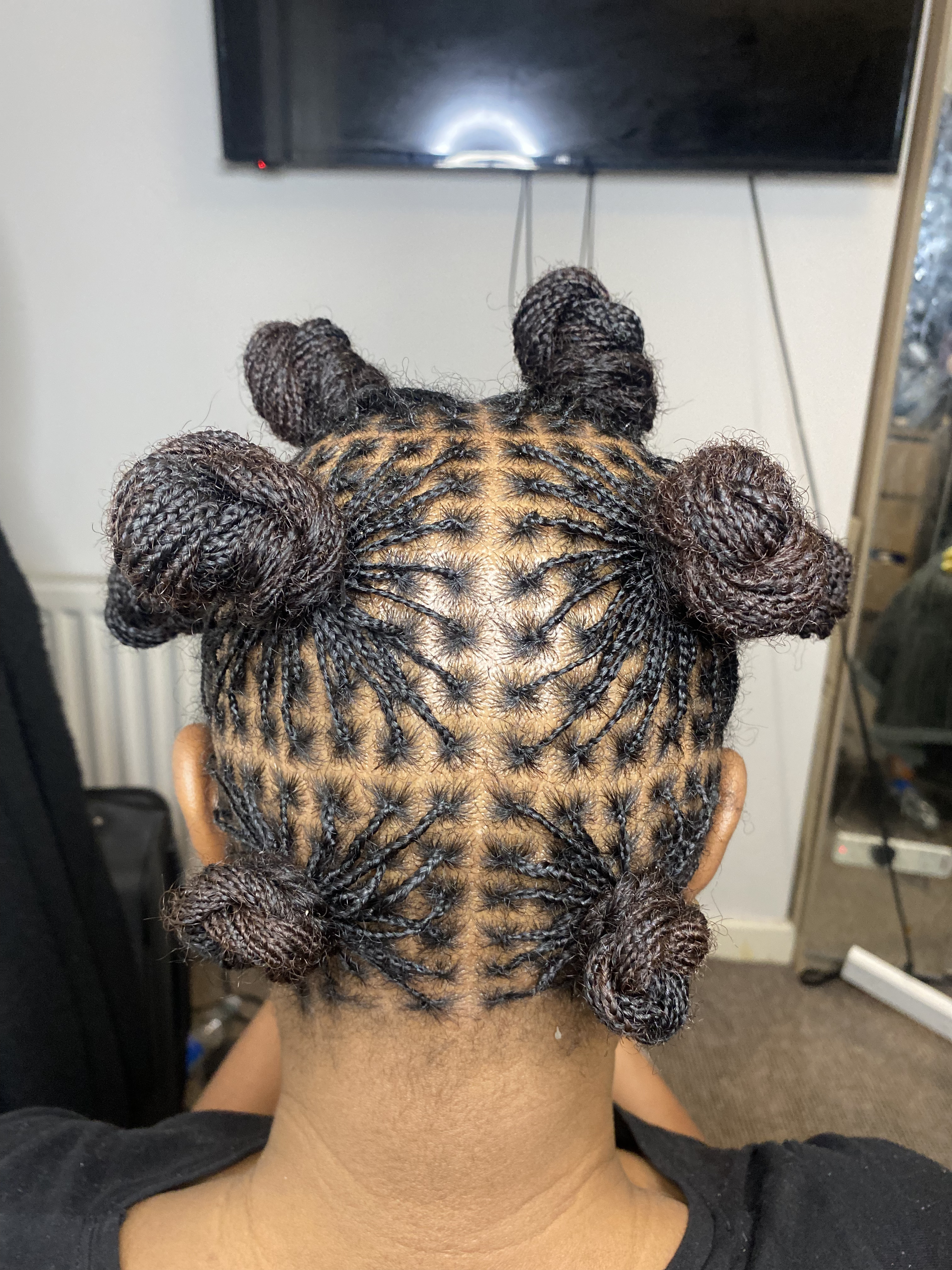 Micro Braids 1